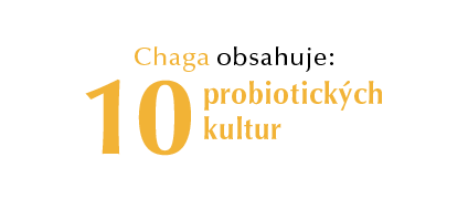 Vitahit_eshop_karta_produkt_popisky_chaga_10 kultur_u